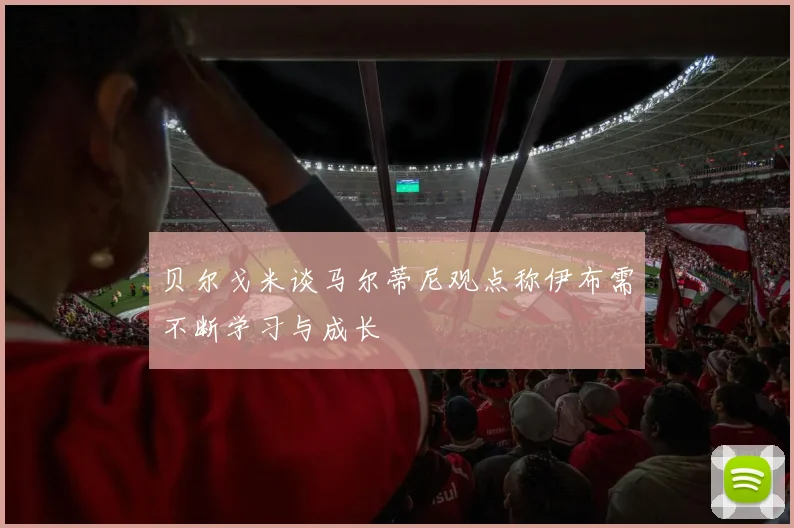 贝尔戈米谈马尔蒂尼观点称伊布需不断学习与成长