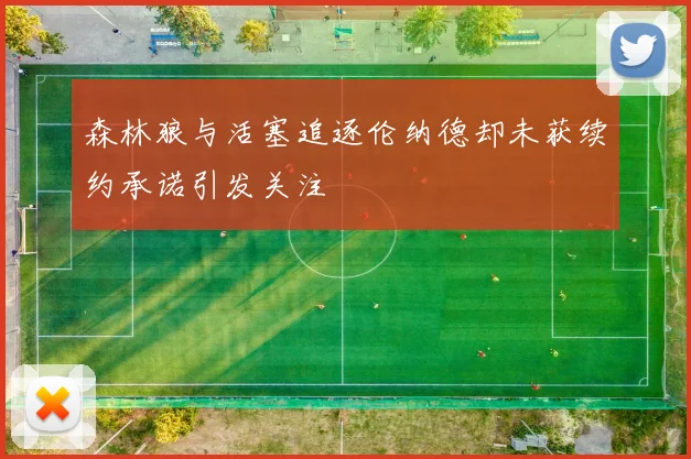 森林狼与活塞追逐伦纳德却未获续约承诺引发关注
