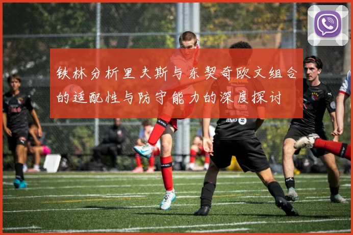 铁林分析里夫斯与东契奇欧文组合的适配性与防守能力的深度探讨